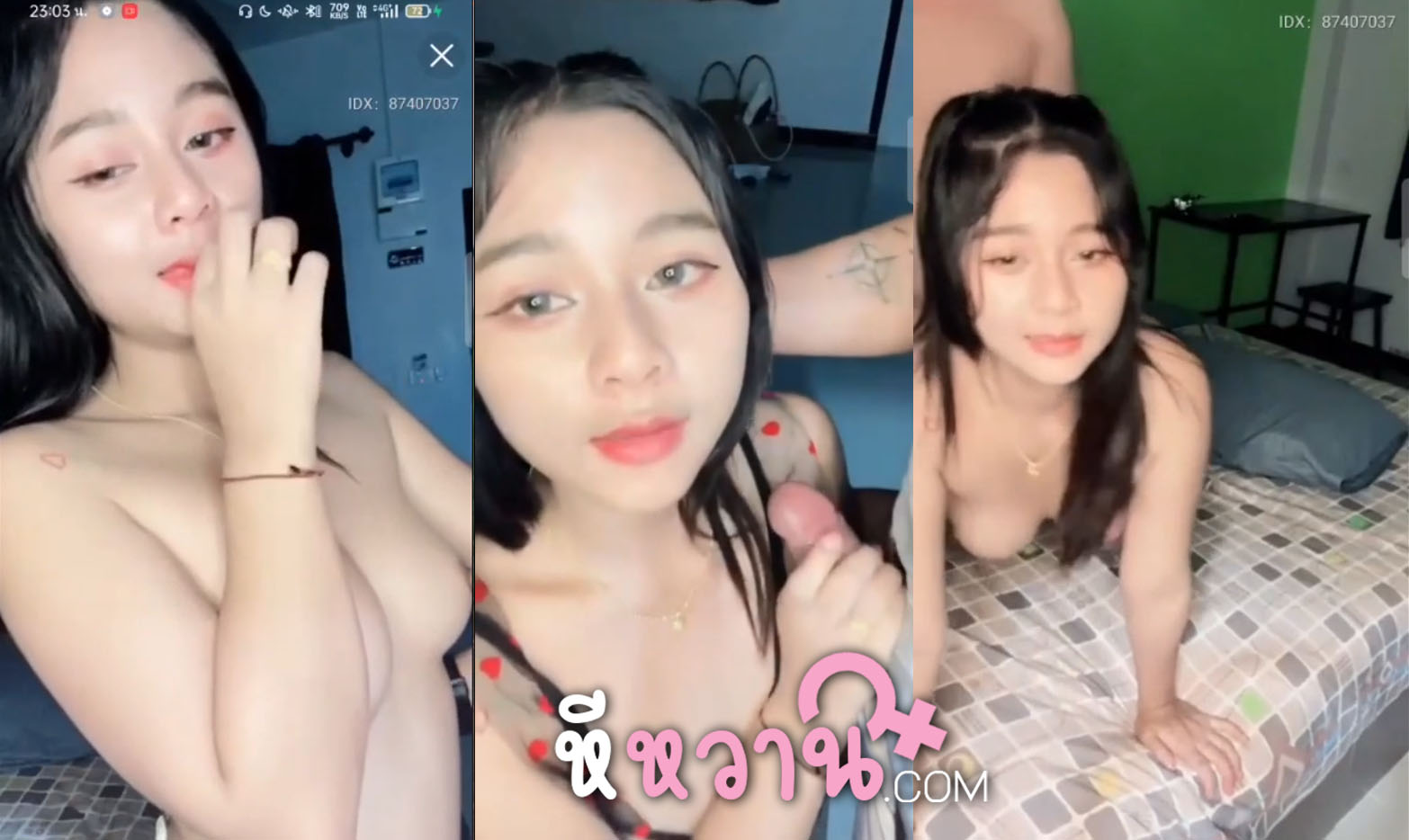 คลิปหลุด mlive mintra4444 ไลฟ์สดห้องลับอย่างเด็ดขึ้นขย่มโยกเย็ดกับผัวอย่างเมามันส์ โดนกระแทกรูหีตับๆ ห้องล็อค