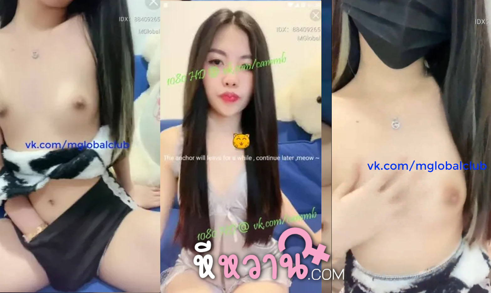 คลิปหลุด mlive IDX-88409265 สาวสวยนมเล็ก mglobalclub เปิดเสียวโชว์หุ่นเซ็กซี่ให้รับชม เห็นแล้วอยากเข้าไปกระแทกรูหีเลย