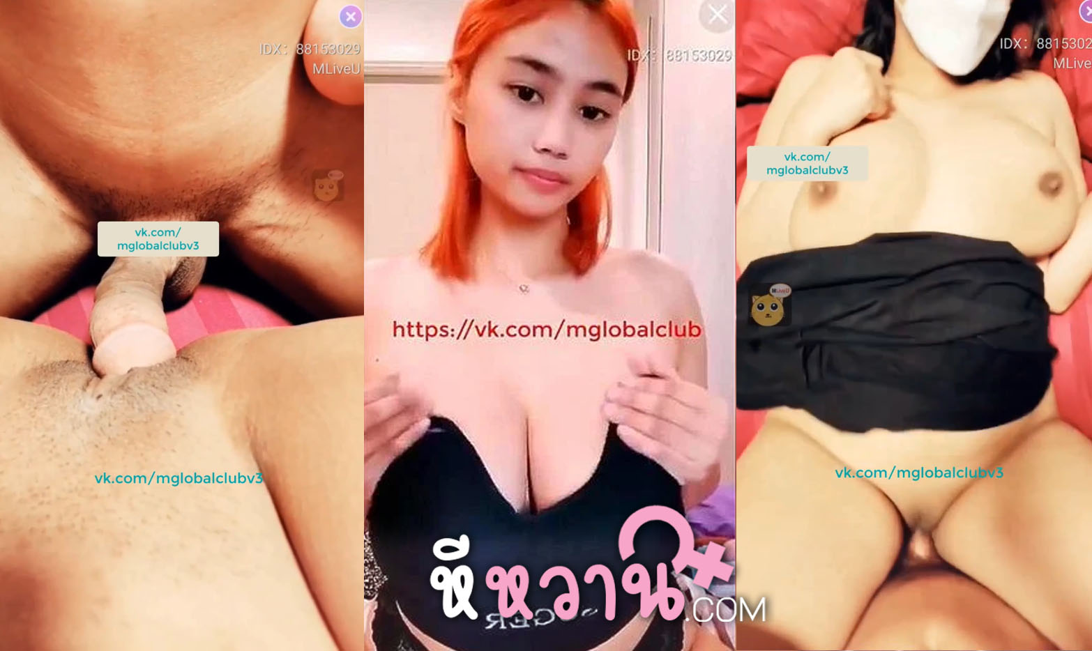 คลิปหลุดไลฟ์สด mlive ห้องล็อคคู่เทพเย็ดกันเด็ดจัด IDX-88153029 งานดีจัดๆโดนเย็ดนมเด้งกระแทกสดจนน้ำแตก